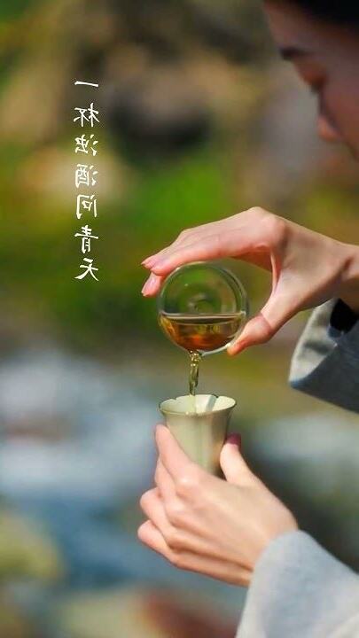 楊柳春風今日閒, 一杯濁酒問青天。 為何花有重開時, 人卻從無再少年!